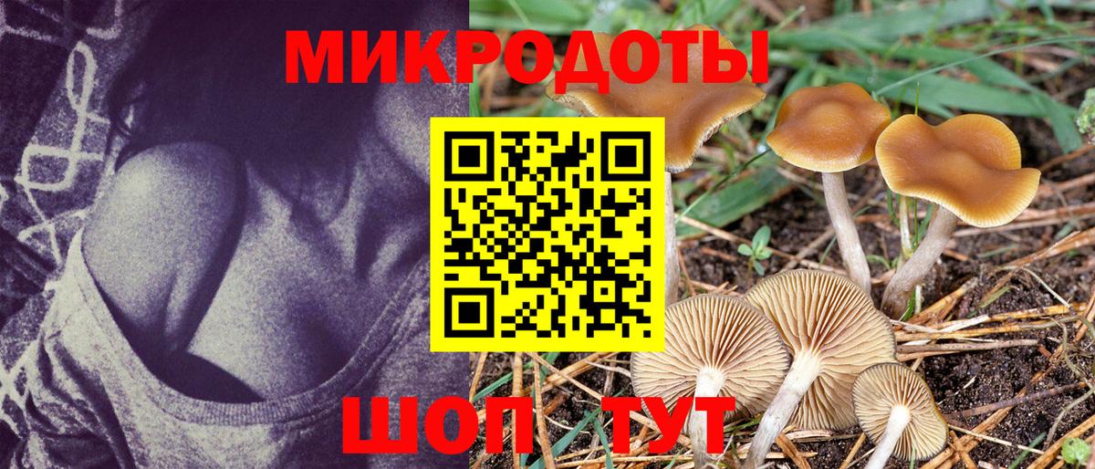 Псилоцибиновые грибы Cubensis Советский