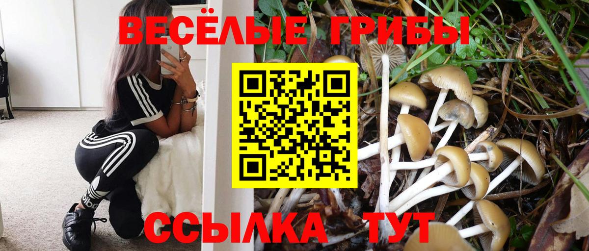 закладка  Вход с VPN  Советский  Галлюциногенные грибы ЛСД  Псилоцибиновые грибы Cubensis 
